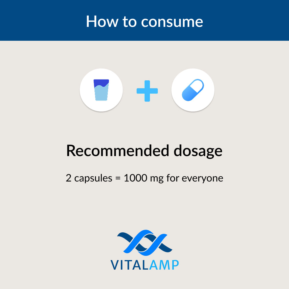 Vitalamp NMN Capsules – Cellular Energy
