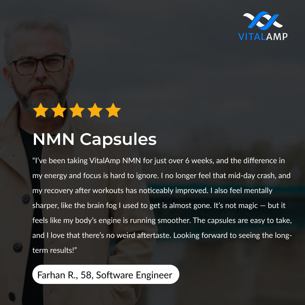 Vitalamp NMN Capsules – Cellular Energy