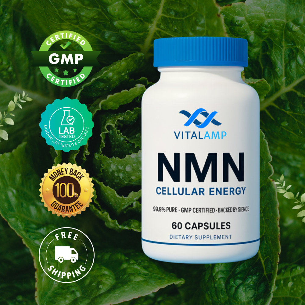 Vitalamp NMN Capsules – Cellular Energy