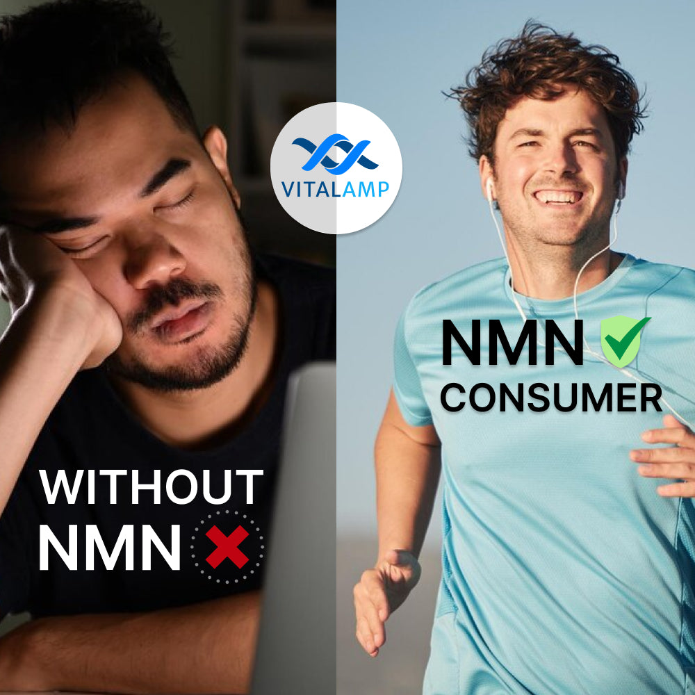 Vitalamp NMN Capsules – Cellular Energy