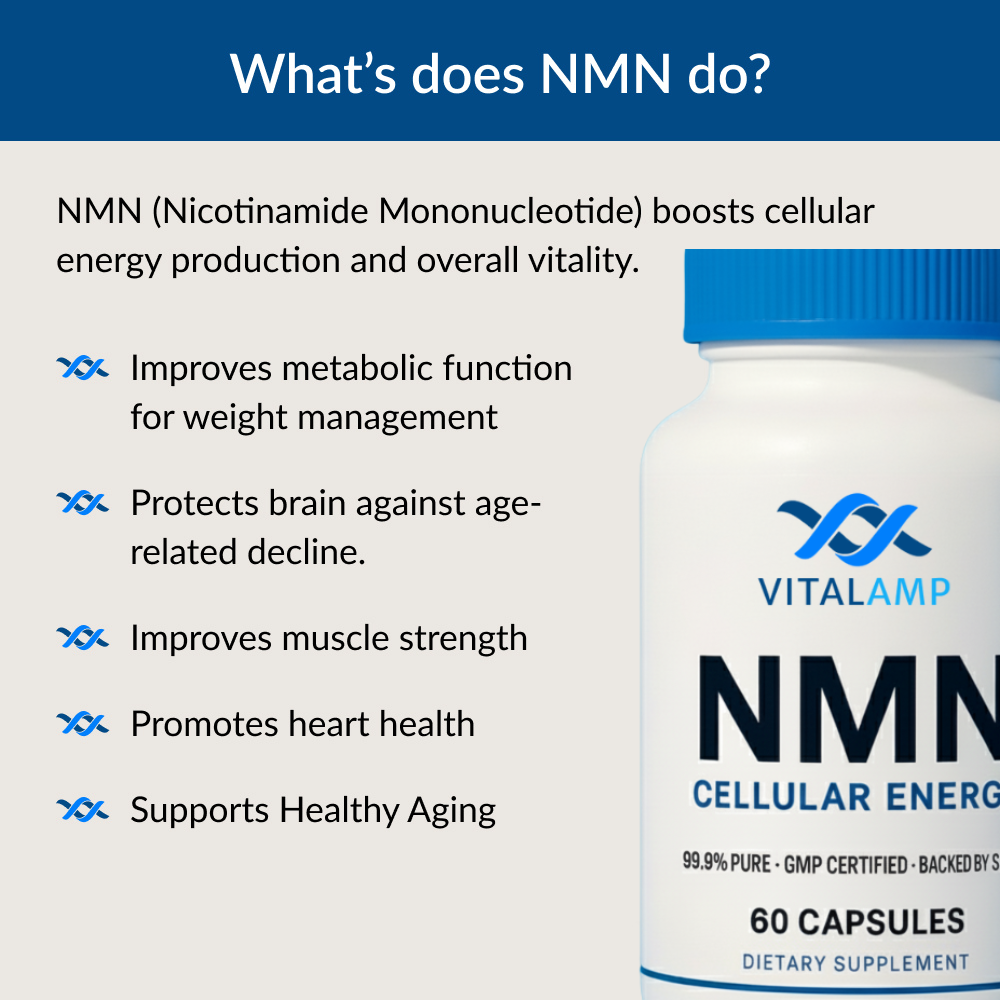 Vitalamp NMN Capsules – Cellular Energy