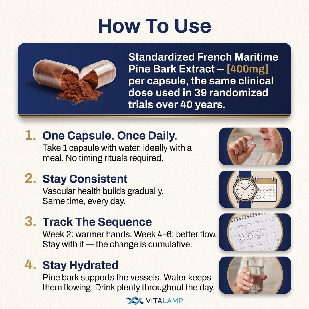 French Maritime Pine Bark Extract 400mg | 95% Proanthocyanidins | Maximum Strength Vascular & Circulation Support