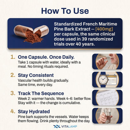 French Maritime Pine Bark Extract 400mg | 95% Proanthocyanidins | Maximum Strength Vascular & Circulation Support