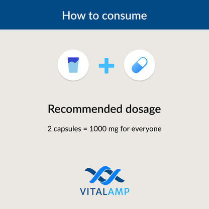 Vitalamp NMN Capsules – Cellular Energy