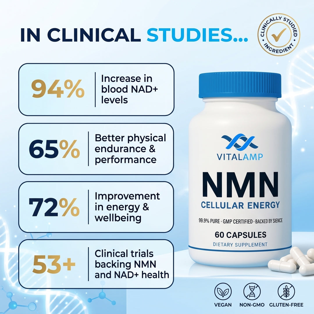 Vitalamp NMN Capsules – Cellular Energy
