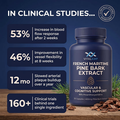 French Maritime Pine Bark Extract 400mg | 95% Proanthocyanidins | Maximum Strength Vascular & Circulation Support