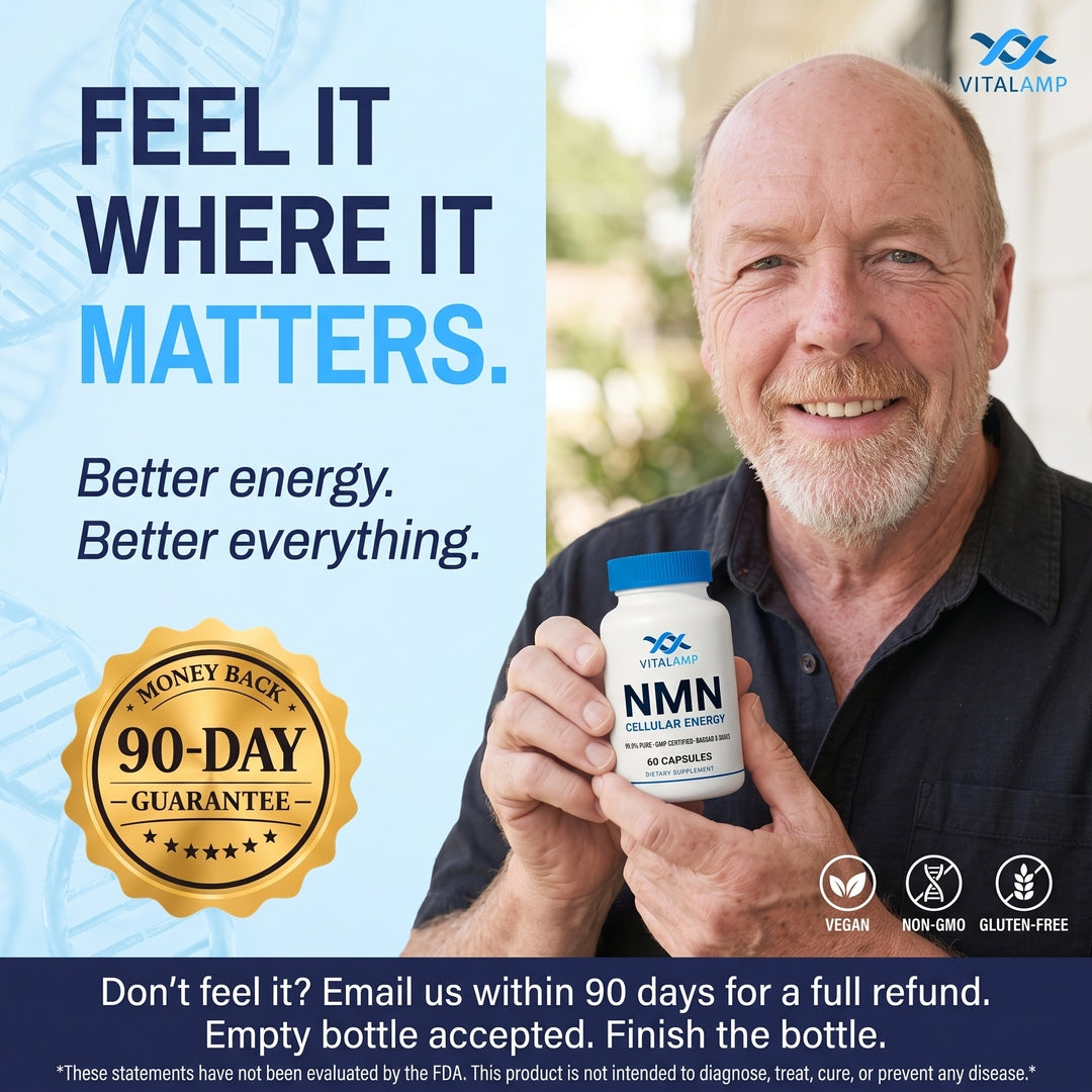 Vitalamp NMN Capsules – Cellular Energy