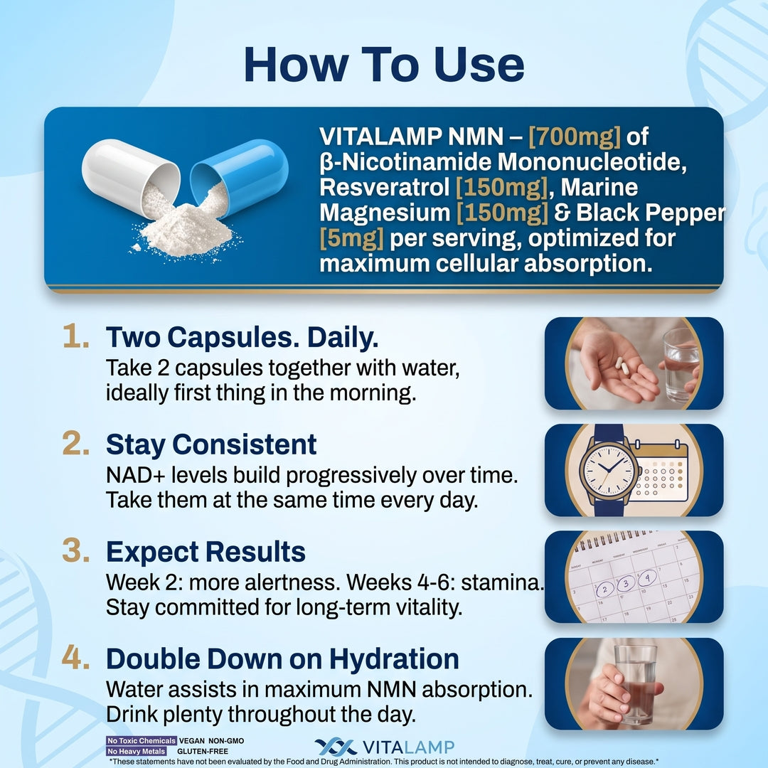 Vitalamp NMN Capsules – Cellular Energy
