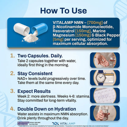 Vitalamp NMN Capsules – Cellular Energy