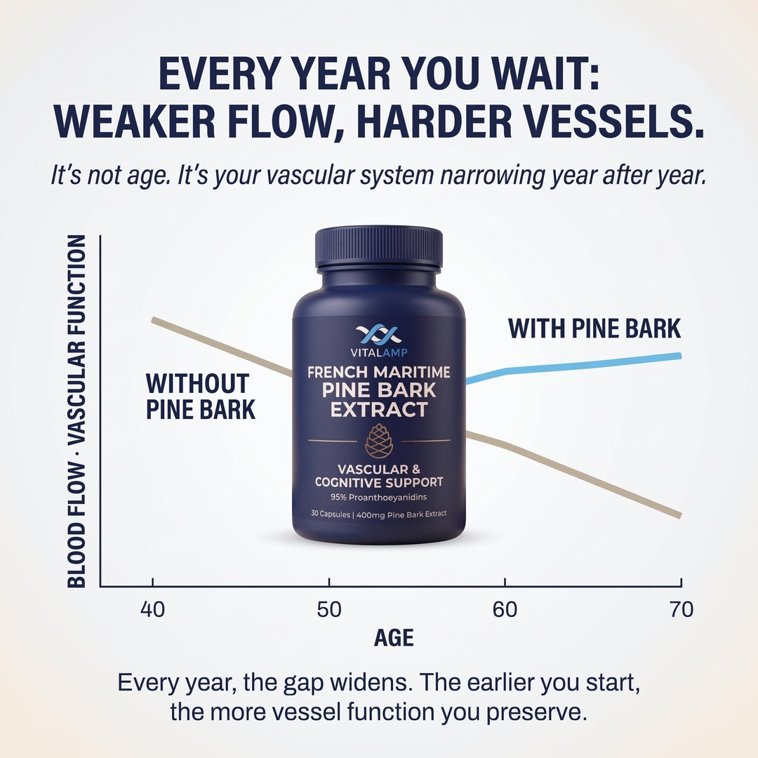 French Maritime Pine Bark Extract 400mg | 95% Proanthocyanidins | Maximum Strength Vascular & Circulation Support