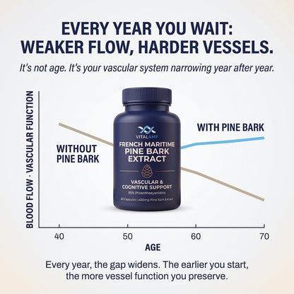 French Maritime Pine Bark Extract 400mg | 95% Proanthocyanidins | Maximum Strength Vascular & Circulation Support