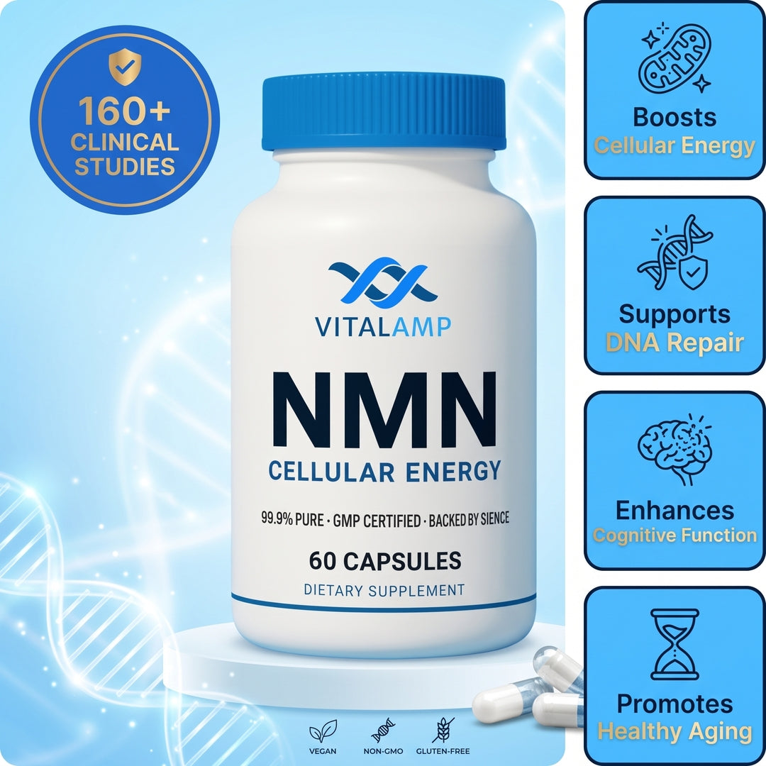 Vitalamp NMN Capsules – Cellular Energy