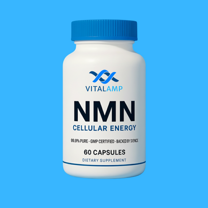 Vitalamp NMN Capsules – Cellular Energy