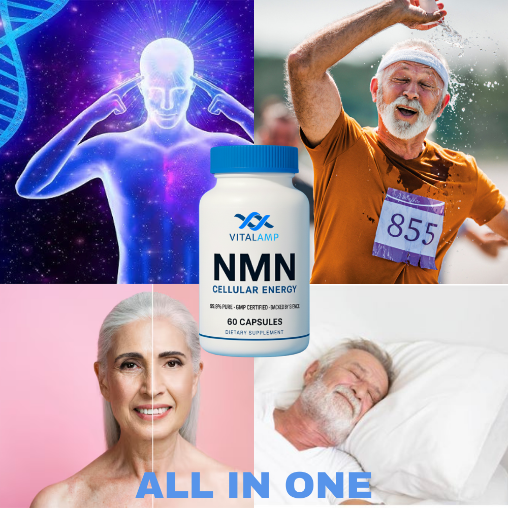 Vitalamp NMN Capsules – Cellular Energy