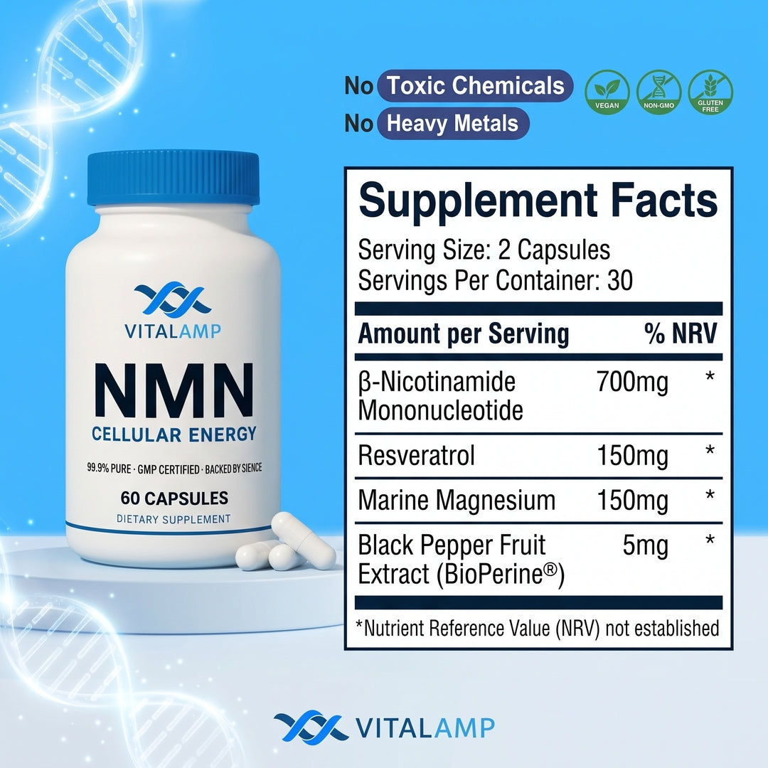 Vitalamp NMN Capsules – Cellular Energy