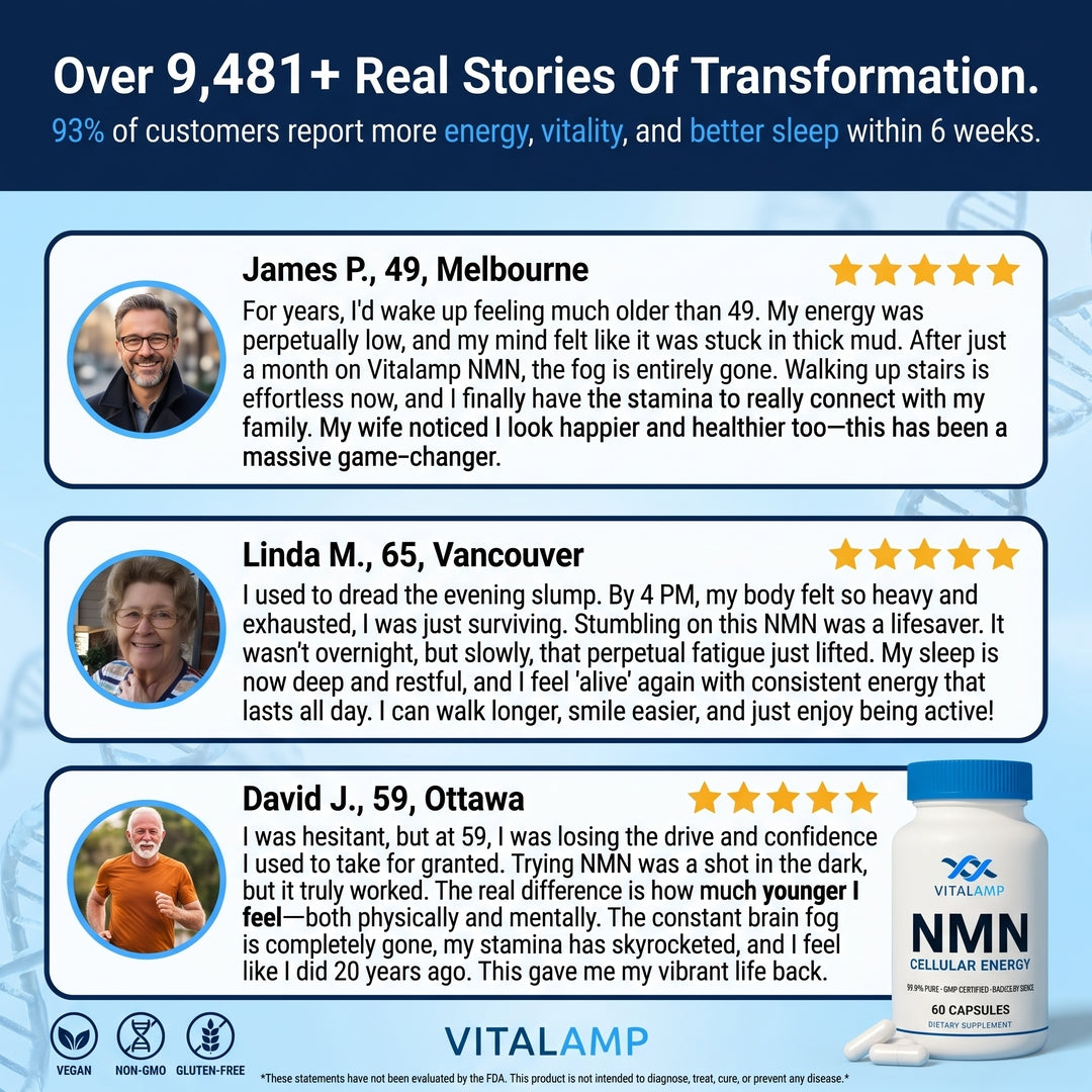 Vitalamp NMN Capsules – Cellular Energy