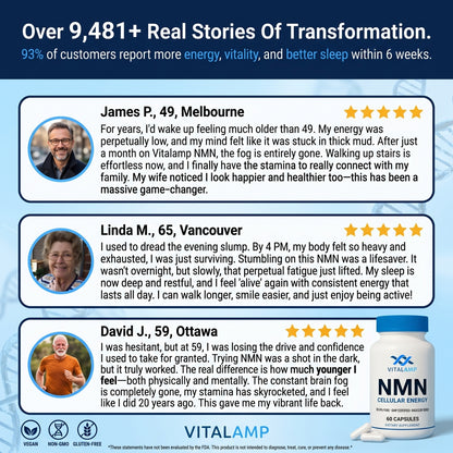 Vitalamp NMN Capsules – Cellular Energy