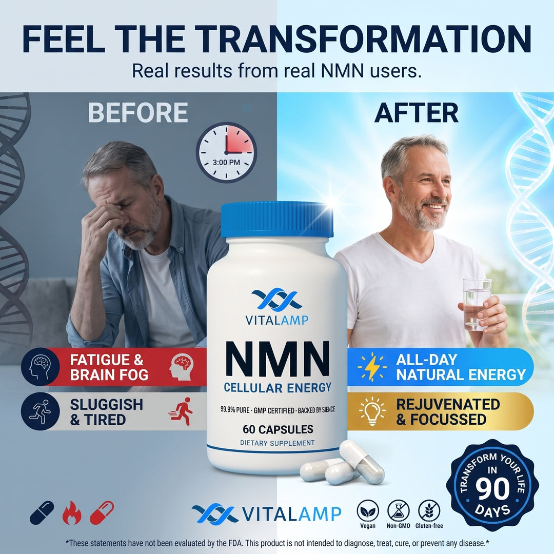 Vitalamp NMN Capsules – Cellular Energy