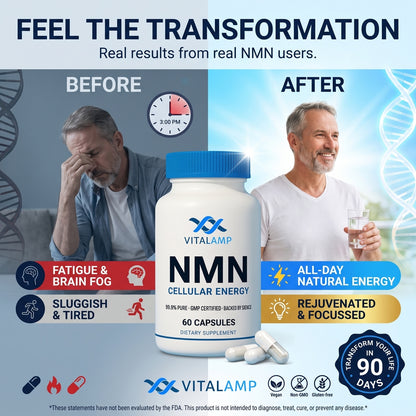 Vitalamp NMN Capsules – Cellular Energy